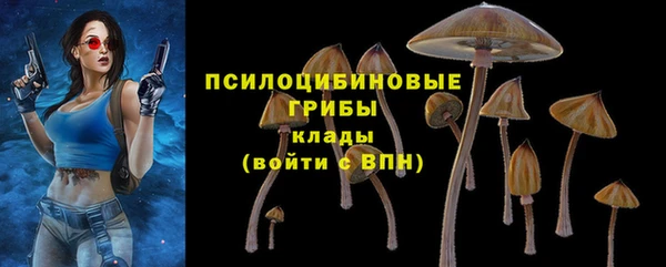 мескалин Алексин