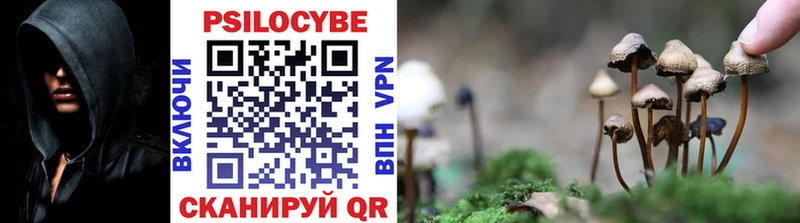 как найти закладки кракен онион Псилоцибиновые грибы Magic Shrooms Невьянск