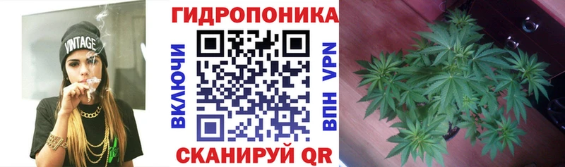 наркотики  Невьянск  Конопля Ganja 